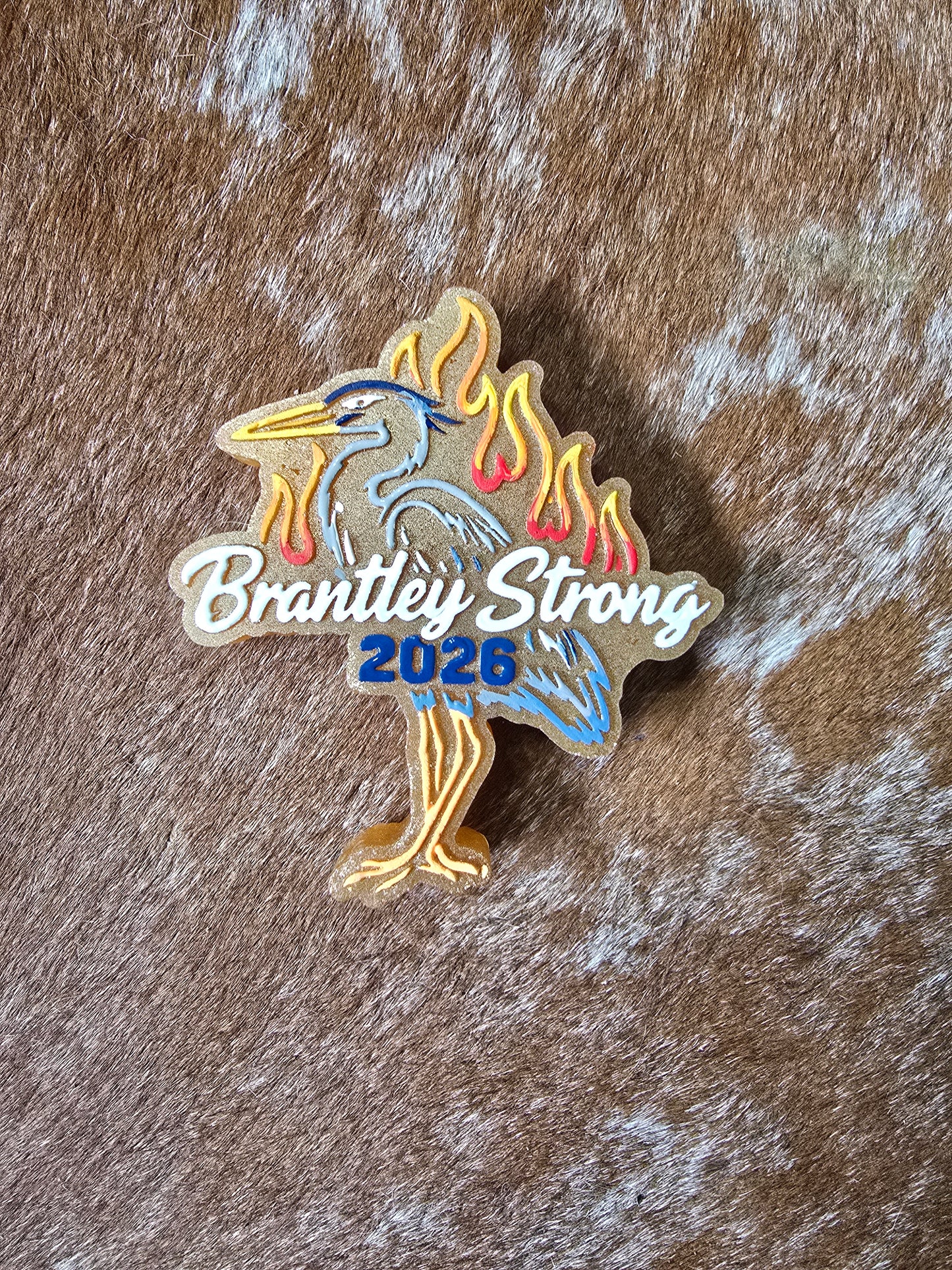 Brantley Strong Fundraiser Option 2