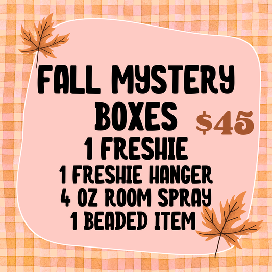 Fall Mystery Box