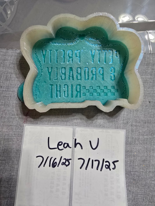 Destash- Petty, Pretty, & Probably Right- LM